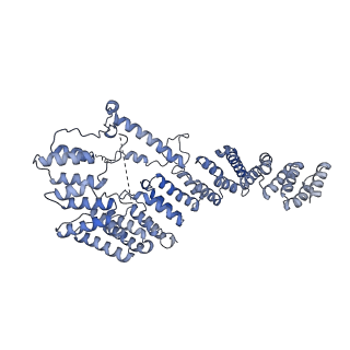 13555_7pnx_4_v1-2
Assembly intermediate of human mitochondrial ribosome small subunit without mS37 in complex with RBFA and METTL15 conformation a