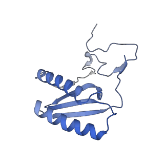 13555_7pnx_C_v1-2
Assembly intermediate of human mitochondrial ribosome small subunit without mS37 in complex with RBFA and METTL15 conformation a