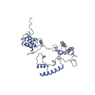 13555_7pnx_G_v1-2
Assembly intermediate of human mitochondrial ribosome small subunit without mS37 in complex with RBFA and METTL15 conformation a