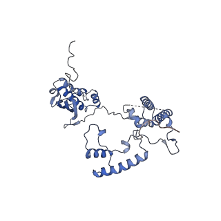 13555_7pnx_G_v2-1
Assembly intermediate of human mitochondrial ribosome small subunit without mS37 in complex with RBFA and METTL15 conformation a