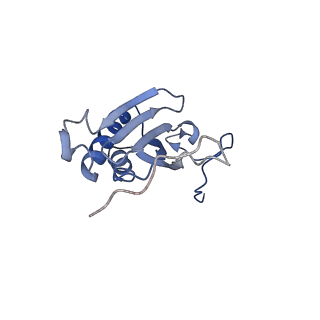 13555_7pnx_I_v1-2
Assembly intermediate of human mitochondrial ribosome small subunit without mS37 in complex with RBFA and METTL15 conformation a