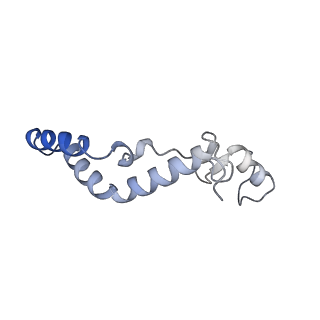 13555_7pnx_K_v1-2
Assembly intermediate of human mitochondrial ribosome small subunit without mS37 in complex with RBFA and METTL15 conformation a