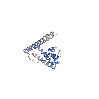 13555_7pnx_L_v1-2
Assembly intermediate of human mitochondrial ribosome small subunit without mS37 in complex with RBFA and METTL15 conformation a