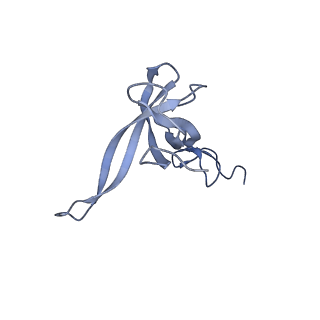 13555_7pnx_N_v1-2
Assembly intermediate of human mitochondrial ribosome small subunit without mS37 in complex with RBFA and METTL15 conformation a