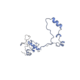 13555_7pnx_O_v1-2
Assembly intermediate of human mitochondrial ribosome small subunit without mS37 in complex with RBFA and METTL15 conformation a