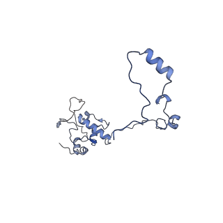 13555_7pnx_O_v2-1
Assembly intermediate of human mitochondrial ribosome small subunit without mS37 in complex with RBFA and METTL15 conformation a