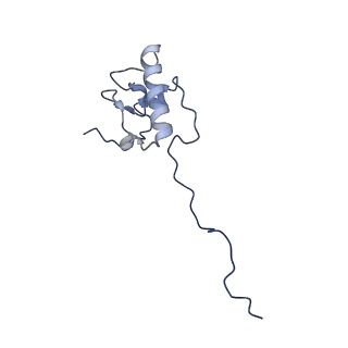 13555_7pnx_P_v1-2
Assembly intermediate of human mitochondrial ribosome small subunit without mS37 in complex with RBFA and METTL15 conformation a