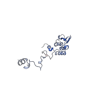 13555_7pnx_T_v1-2
Assembly intermediate of human mitochondrial ribosome small subunit without mS37 in complex with RBFA and METTL15 conformation a