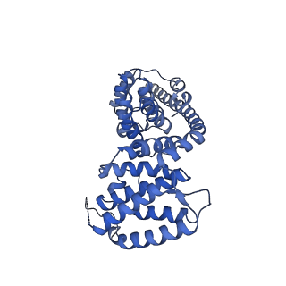 13555_7pnx_V_v1-2
Assembly intermediate of human mitochondrial ribosome small subunit without mS37 in complex with RBFA and METTL15 conformation a
