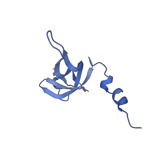 13555_7pnx_W_v1-2
Assembly intermediate of human mitochondrial ribosome small subunit without mS37 in complex with RBFA and METTL15 conformation a
