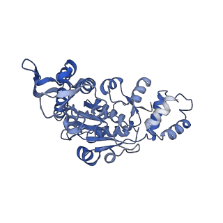 13555_7pnx_X_v1-2
Assembly intermediate of human mitochondrial ribosome small subunit without mS37 in complex with RBFA and METTL15 conformation a