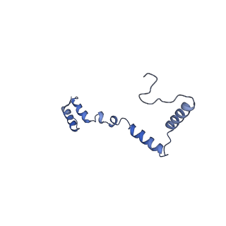 13555_7pnx_Z_v1-2
Assembly intermediate of human mitochondrial ribosome small subunit without mS37 in complex with RBFA and METTL15 conformation a