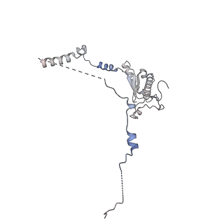 13555_7pnx_a_v1-2
Assembly intermediate of human mitochondrial ribosome small subunit without mS37 in complex with RBFA and METTL15 conformation a