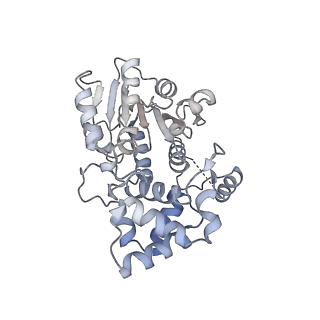 13555_7pnx_b_v1-2
Assembly intermediate of human mitochondrial ribosome small subunit without mS37 in complex with RBFA and METTL15 conformation a