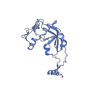 13556_7pny_0_v1-2
Assembly intermediate of human mitochondrial ribosome small subunit without mS37 in complex with RBFA and METTL15 conformation b