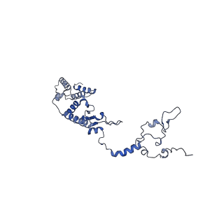 13556_7pny_1_v1-2
Assembly intermediate of human mitochondrial ribosome small subunit without mS37 in complex with RBFA and METTL15 conformation b