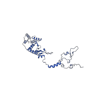 13556_7pny_1_v2-1
Assembly intermediate of human mitochondrial ribosome small subunit without mS37 in complex with RBFA and METTL15 conformation b