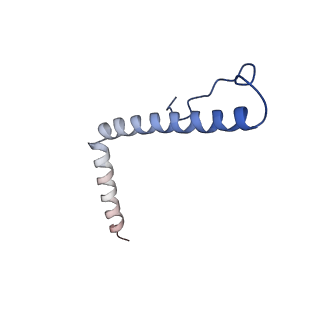 13556_7pny_3_v1-2
Assembly intermediate of human mitochondrial ribosome small subunit without mS37 in complex with RBFA and METTL15 conformation b