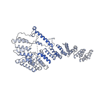 13556_7pny_4_v1-2
Assembly intermediate of human mitochondrial ribosome small subunit without mS37 in complex with RBFA and METTL15 conformation b
