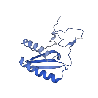 13556_7pny_C_v1-2
Assembly intermediate of human mitochondrial ribosome small subunit without mS37 in complex with RBFA and METTL15 conformation b