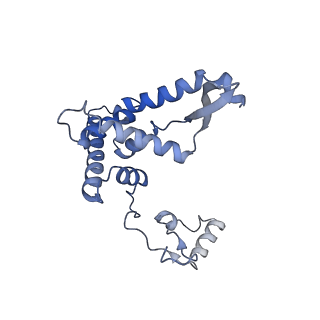 13556_7pny_F_v1-2
Assembly intermediate of human mitochondrial ribosome small subunit without mS37 in complex with RBFA and METTL15 conformation b
