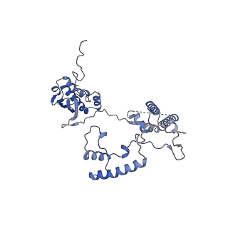 13556_7pny_G_v1-2
Assembly intermediate of human mitochondrial ribosome small subunit without mS37 in complex with RBFA and METTL15 conformation b