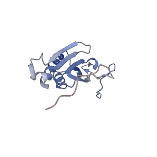 13556_7pny_I_v1-2
Assembly intermediate of human mitochondrial ribosome small subunit without mS37 in complex with RBFA and METTL15 conformation b