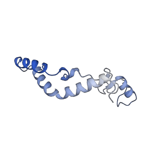 13556_7pny_K_v1-2
Assembly intermediate of human mitochondrial ribosome small subunit without mS37 in complex with RBFA and METTL15 conformation b