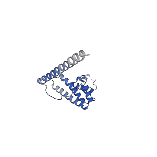 13556_7pny_L_v1-2
Assembly intermediate of human mitochondrial ribosome small subunit without mS37 in complex with RBFA and METTL15 conformation b