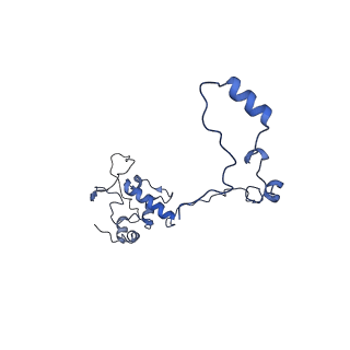 13556_7pny_O_v1-2
Assembly intermediate of human mitochondrial ribosome small subunit without mS37 in complex with RBFA and METTL15 conformation b