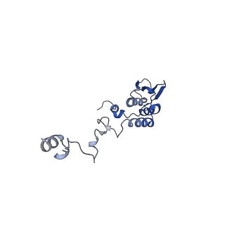 13556_7pny_T_v1-2
Assembly intermediate of human mitochondrial ribosome small subunit without mS37 in complex with RBFA and METTL15 conformation b