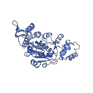 13556_7pny_X_v1-2
Assembly intermediate of human mitochondrial ribosome small subunit without mS37 in complex with RBFA and METTL15 conformation b