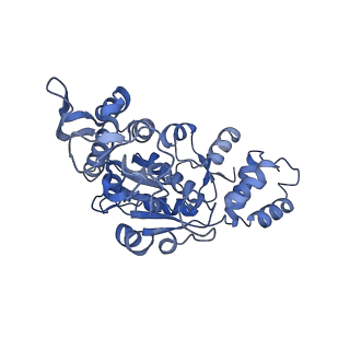 13556_7pny_X_v2-1
Assembly intermediate of human mitochondrial ribosome small subunit without mS37 in complex with RBFA and METTL15 conformation b
