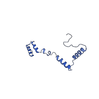 13556_7pny_Z_v1-2
Assembly intermediate of human mitochondrial ribosome small subunit without mS37 in complex with RBFA and METTL15 conformation b