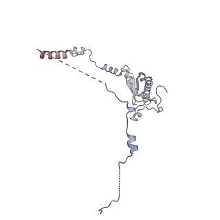 13556_7pny_a_v1-2
Assembly intermediate of human mitochondrial ribosome small subunit without mS37 in complex with RBFA and METTL15 conformation b