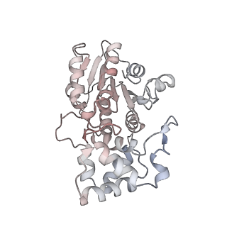 13556_7pny_b_v1-2
Assembly intermediate of human mitochondrial ribosome small subunit without mS37 in complex with RBFA and METTL15 conformation b