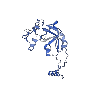 13557_7pnz_0_v1-2
Assembly intermediate of human mitochondrial ribosome small subunit without mS37 in complex with RBFA and METTL15 conformation c