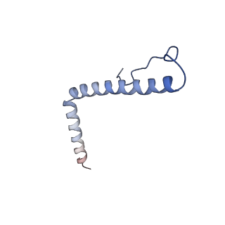 13557_7pnz_3_v1-2
Assembly intermediate of human mitochondrial ribosome small subunit without mS37 in complex with RBFA and METTL15 conformation c
