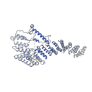 13557_7pnz_4_v1-2
Assembly intermediate of human mitochondrial ribosome small subunit without mS37 in complex with RBFA and METTL15 conformation c