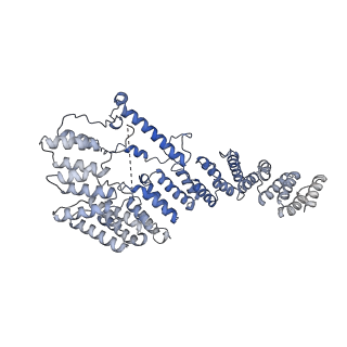 13557_7pnz_4_v2-1
Assembly intermediate of human mitochondrial ribosome small subunit without mS37 in complex with RBFA and METTL15 conformation c