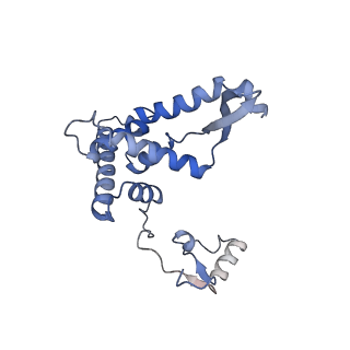 13557_7pnz_F_v1-2
Assembly intermediate of human mitochondrial ribosome small subunit without mS37 in complex with RBFA and METTL15 conformation c