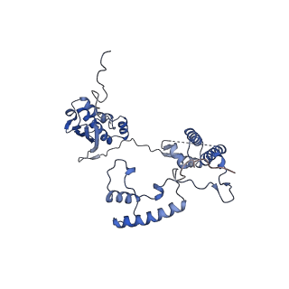 13557_7pnz_G_v1-2
Assembly intermediate of human mitochondrial ribosome small subunit without mS37 in complex with RBFA and METTL15 conformation c