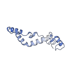 13557_7pnz_K_v1-2
Assembly intermediate of human mitochondrial ribosome small subunit without mS37 in complex with RBFA and METTL15 conformation c