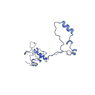13557_7pnz_O_v1-2
Assembly intermediate of human mitochondrial ribosome small subunit without mS37 in complex with RBFA and METTL15 conformation c