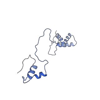 13557_7pnz_S_v1-2
Assembly intermediate of human mitochondrial ribosome small subunit without mS37 in complex with RBFA and METTL15 conformation c