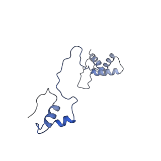 13557_7pnz_S_v2-1
Assembly intermediate of human mitochondrial ribosome small subunit without mS37 in complex with RBFA and METTL15 conformation c
