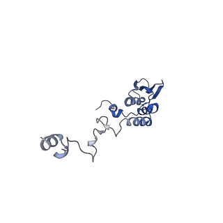 13557_7pnz_T_v1-2
Assembly intermediate of human mitochondrial ribosome small subunit without mS37 in complex with RBFA and METTL15 conformation c