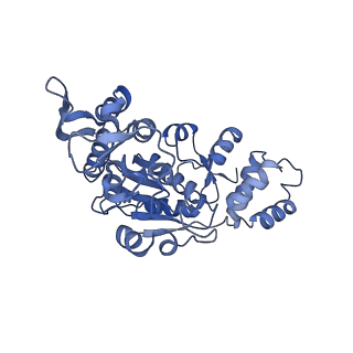 13557_7pnz_X_v1-2
Assembly intermediate of human mitochondrial ribosome small subunit without mS37 in complex with RBFA and METTL15 conformation c