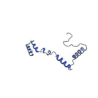 13557_7pnz_Z_v1-2
Assembly intermediate of human mitochondrial ribosome small subunit without mS37 in complex with RBFA and METTL15 conformation c