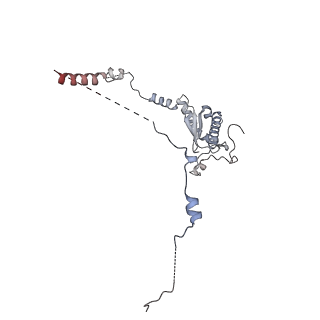 13557_7pnz_a_v2-1
Assembly intermediate of human mitochondrial ribosome small subunit without mS37 in complex with RBFA and METTL15 conformation c